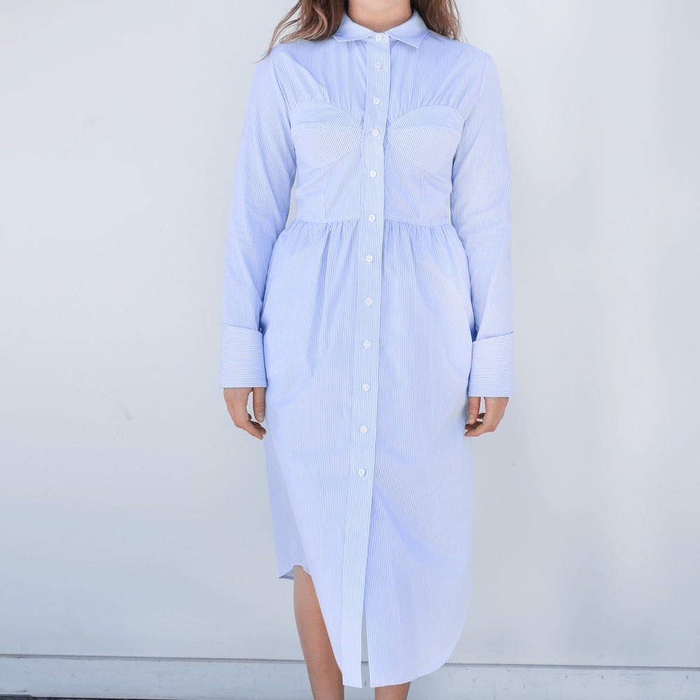 Alexa Chung Shirtdress